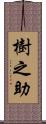 樹之助 Scroll