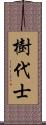 樹代士 Scroll