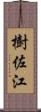 樹佐江 Scroll