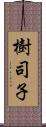 樹司子 Scroll