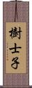 樹士子 Scroll