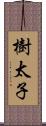 樹太子 Scroll