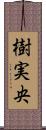 樹実央 Scroll