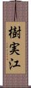 樹実江 Scroll