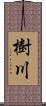 樹川 Scroll