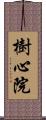 樹心院 Scroll