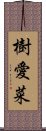 樹愛菜 Scroll