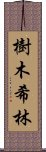 樹木希林 Scroll