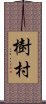 樹村 Scroll