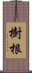 樹根 Scroll
