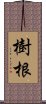 樹根 Scroll