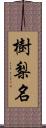 樹梨名 Scroll