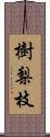 樹梨枝 Scroll