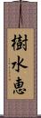 樹水恵 Scroll