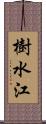 樹水江 Scroll