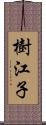 樹江子 Scroll