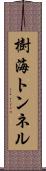 樹海トンネル Scroll