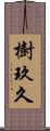 樹玖久 Scroll