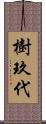 樹玖代 Scroll