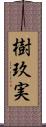樹玖実 Scroll