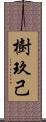 樹玖己 Scroll