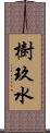 樹玖水 Scroll