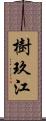 樹玖江 Scroll
