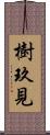樹玖見 Scroll