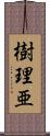 樹理亜 Scroll