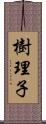 樹理子 Scroll
