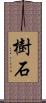 樹石 Scroll