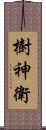 樹神衛 Scroll