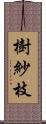 樹紗枝 Scroll