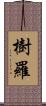 樹羅 Scroll