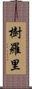 樹羅里 Scroll