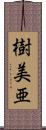 樹美亜 Scroll