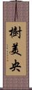 樹美央 Scroll