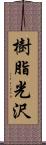 樹脂光沢 Scroll