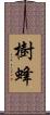 樹蜂 Scroll