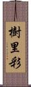 樹里彩 Scroll