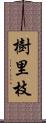 樹里枝 Scroll