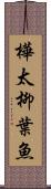 樺太柳葉魚 Scroll