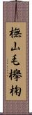 橅 Scroll
