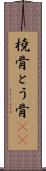 橈骨 Scroll