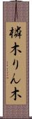 橉木 Scroll