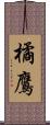 橘鷹 Scroll
