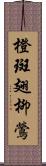 橙斑翅柳鶯 Scroll