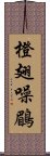 橙翅噪鶥 Scroll