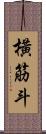 橫筋斗 Scroll