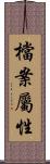 檔案屬性 Scroll